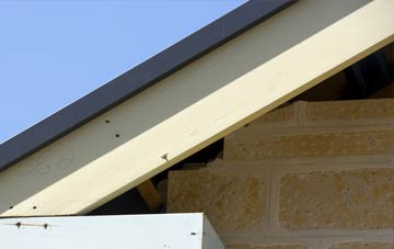 Bleasby Moor fascia repairs