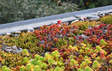 the cost of Bleasby Moor green roof installation