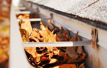 Bleasby Moor gutter cleaning companies
