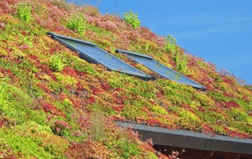 Bleasby Moor living roof systems