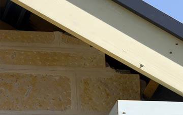 soffit repair Bleasby Moor