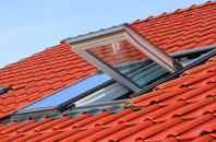 Bleasby Moor roof window